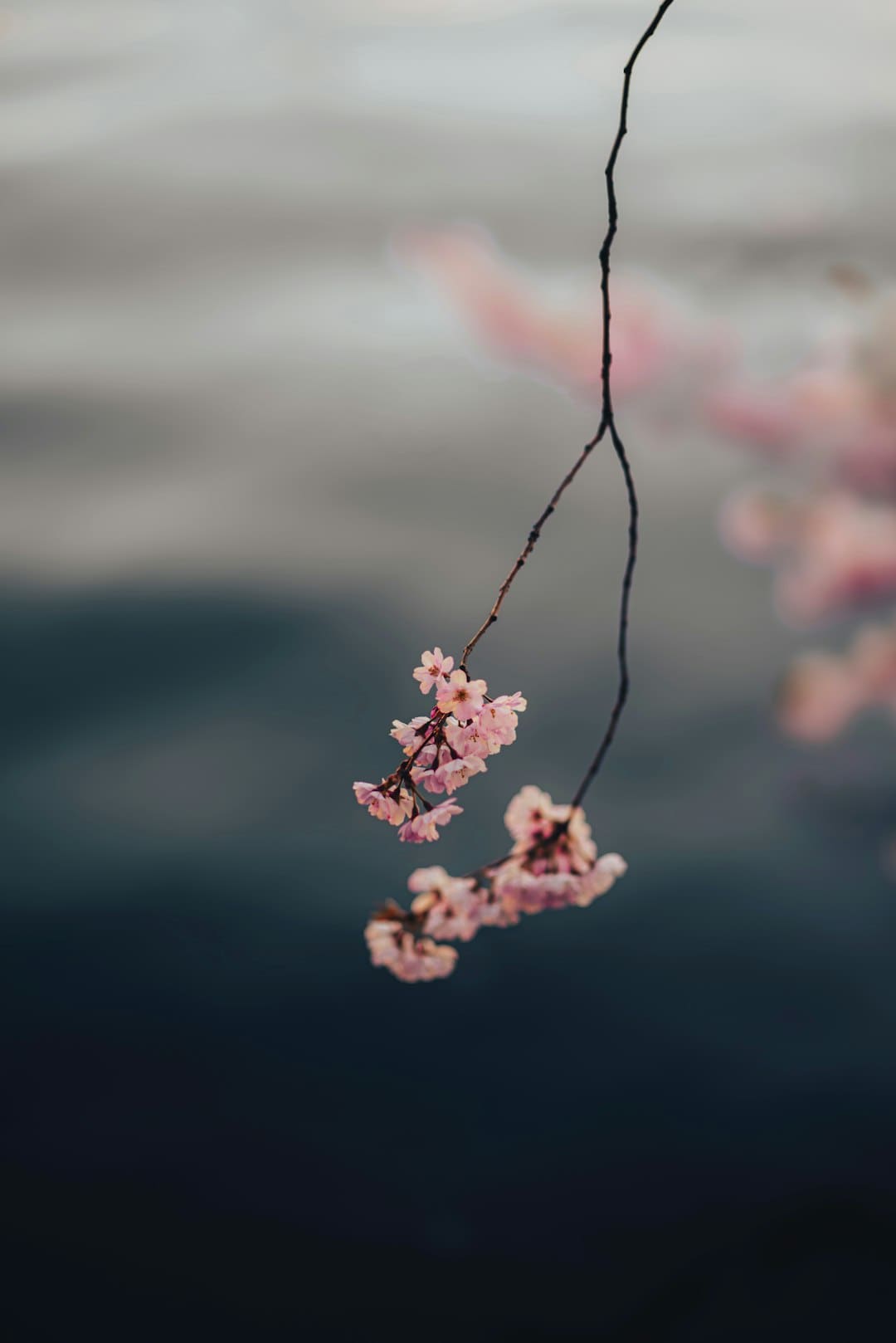 万里诗篇之江，千年文明之河